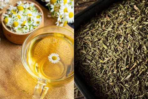 is chamomile a green tea - Exploring the Nuances and Misconceptions Surrounding Herbal and Green Teas